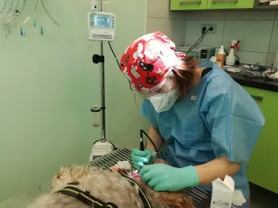 Horská veterinární klinika s.r.o.