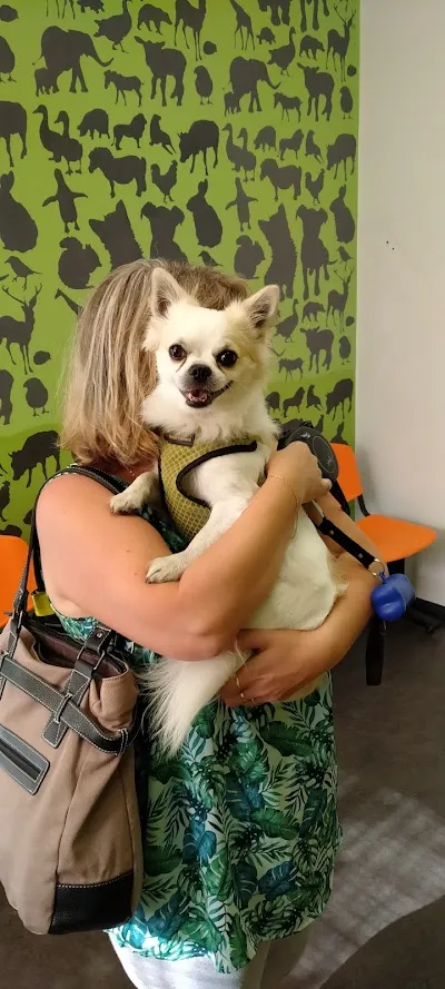 Jašurková-mikutová Gabriela MVDr. - Veterinární Ambulance