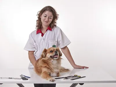MVDr. Petr Kukuč - veterinární klinika