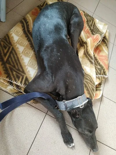 Veterinární ambulance MVDr. Jan Karban