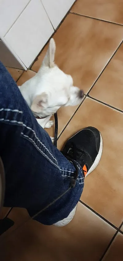 Veterinární Ambulance Šoman Marek MVDr.