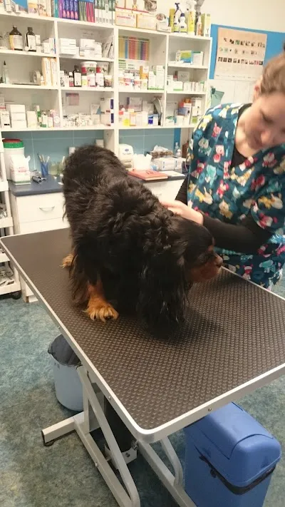 Veterinární Klinika Nusle - Schwetter a kol.