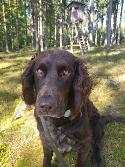 Veterinární klinika Rokycany s.r.o.