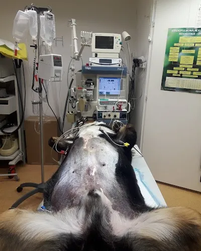 Veterinární klinika s pohotovostí