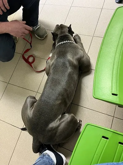 Veterinární klinika Slaný - MVDr. Jaroslav Fiedler, MVDr. Michal Fiedler