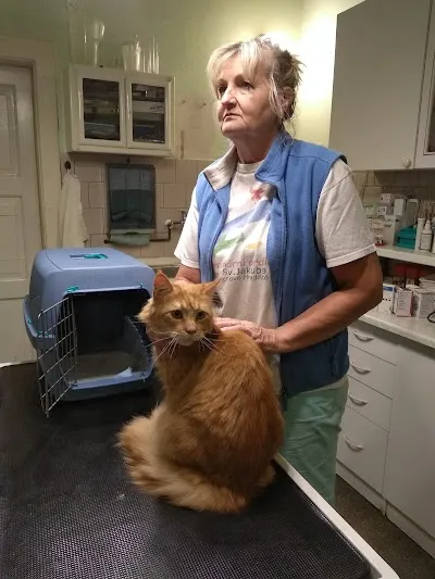 Veterinární Ordinace MH MVDr. Jiří Šimůnek
