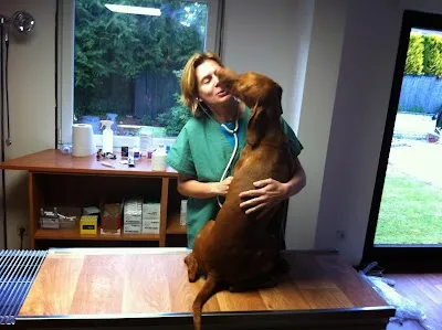 Veterinární ordinace Mukařov - KheironVet, s.r.o.