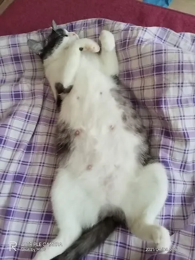 Veterinární ordinace, MVDr. Tomáš Fidra