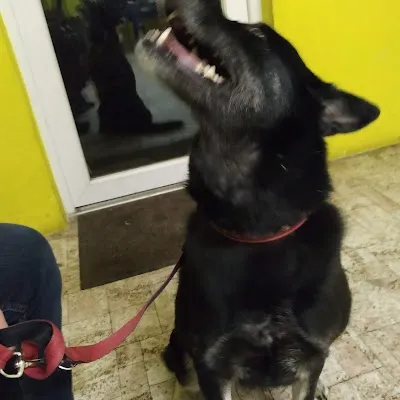 Veterinární ordinace Nový Bor