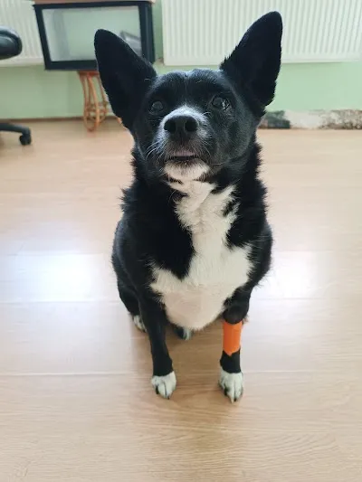 Veterinární ordinace Žeryk