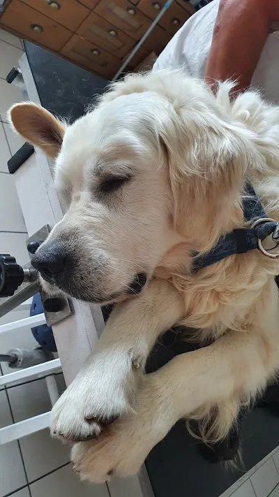 Veterinární Ošetřovna Třeboň