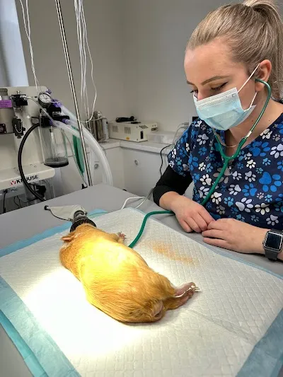 VitalVet Veterinární klinika Slaný